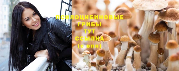 а пвп мука Дмитриев