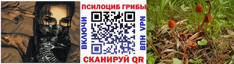 Галлюциногенные грибы Magic Shrooms  Сызрань 